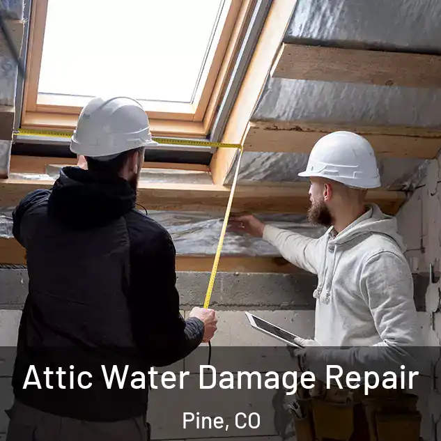  Attic Water Damage Repair Pine, CO