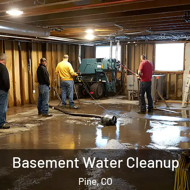  Basement Water Cleanup Pine, CO