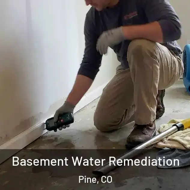  Basement Water Remediation Pine, CO