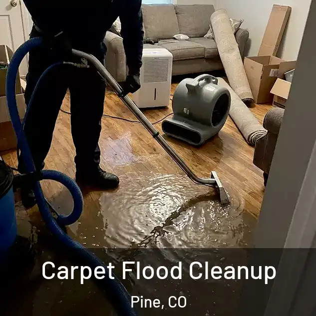  Carpet Flood Cleanup Pine, CO