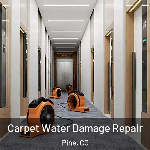  Carpet Water Damage Repair Pine, CO