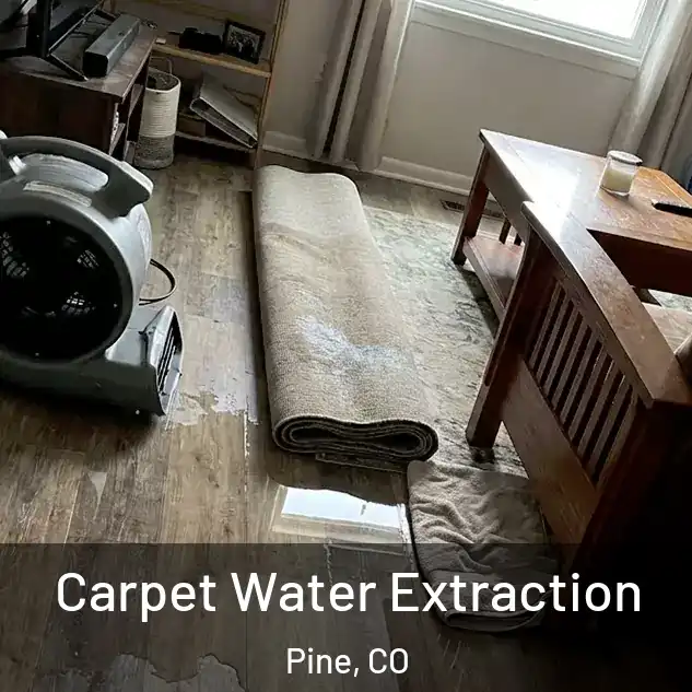  Carpet Water Extraction Pine, CO