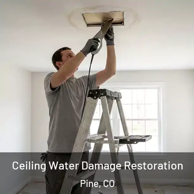 Ceiling Water Damage Restoration Pine, CO