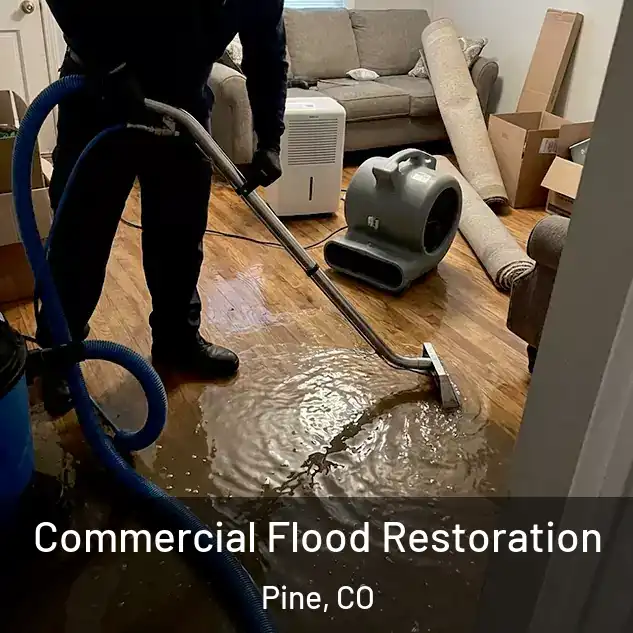  Commercial Flood Restoration Pine, CO