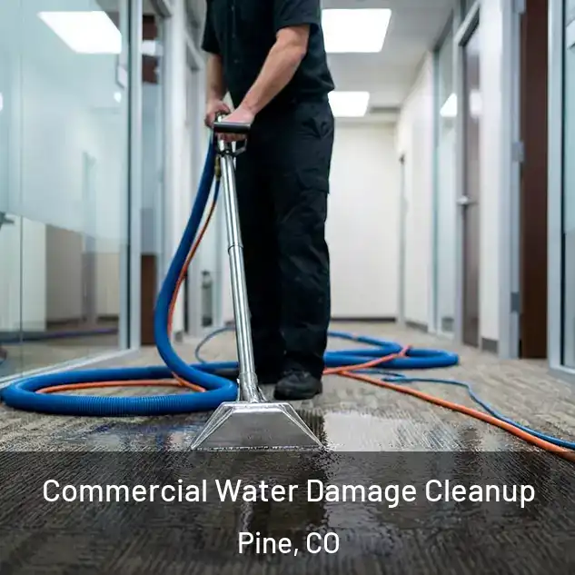  Commercial Water Damage Cleanup Pine, CO