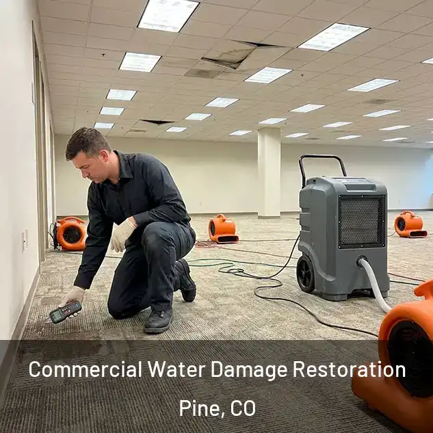  Commercial Water Damage Restoration Pine, CO