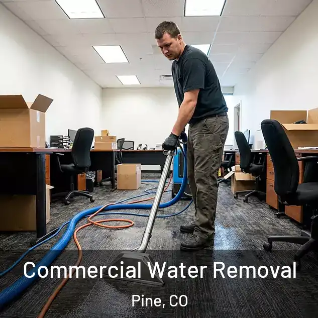  Commercial Water Removal Pine, CO
