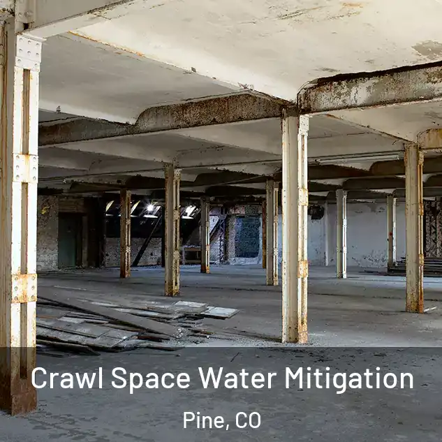  Crawl Space Water Mitigation Pine, CO