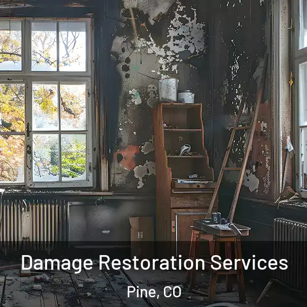  Damage Restoration Services Pine, CO