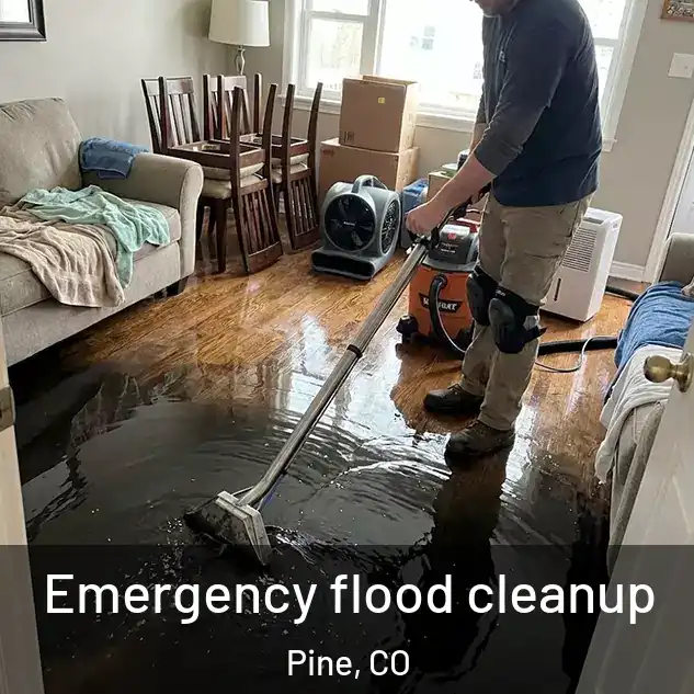  Emergency flood cleanup Pine, CO