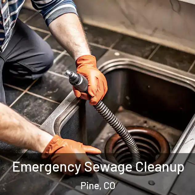  Emergency Sewage Cleanup Pine, CO