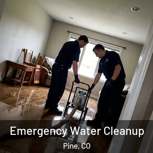  Emergency Water Cleanup Pine, CO