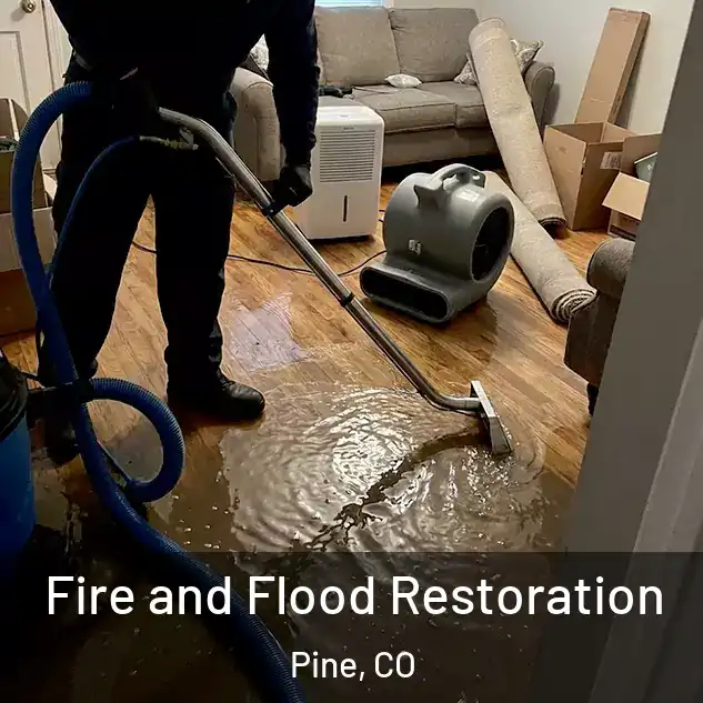  Fire and Flood Restoration Pine, CO
