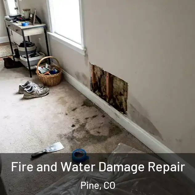  Fire and Water Damage Repair Pine, CO