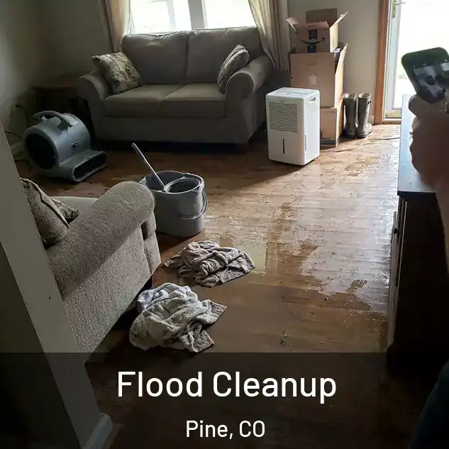  Flood Cleanup Pine, CO