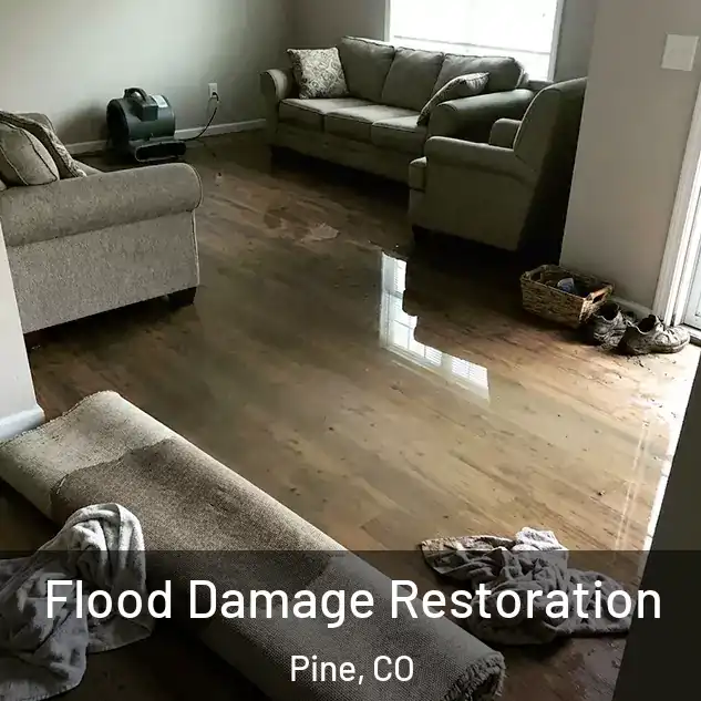  Flood Damage Restoration Pine, CO