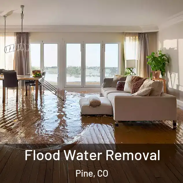 Flood Water Removal Pine, CO