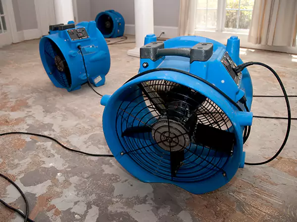 Water Damage Reconstruction in Pine