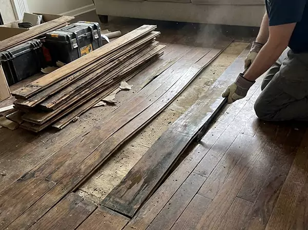 Water Damage Drying in Pine