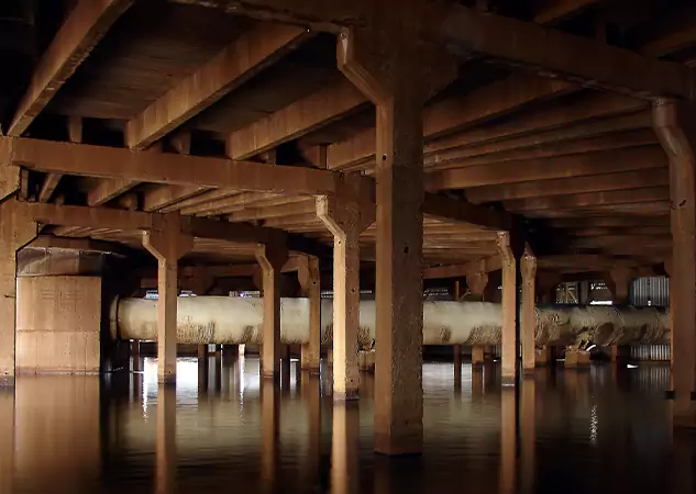 Your Water Damage Mitigation Experts in Pine, CO