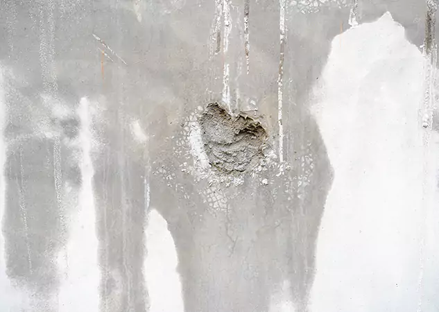 Your Mold Mitigation Solutions Partner in Pine, CO