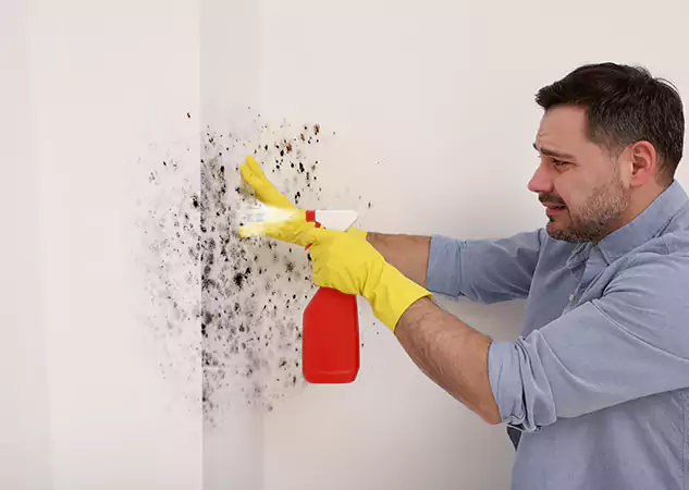 Your Water Mold Fire Restoration Partner in Pine, CO