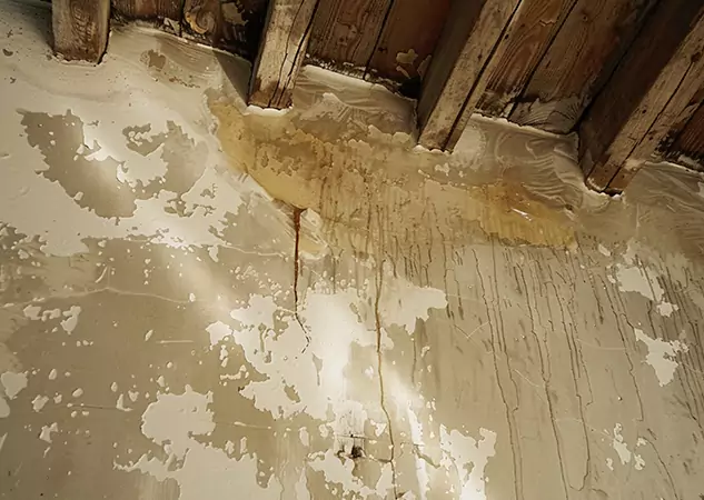 Your Trusted Restoration Company in Pine, CO
