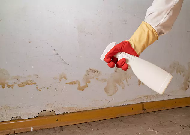 Your Water Restoration and Mold Remediation Specialists in Pine, CO