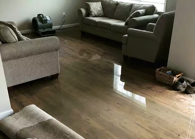 Your Trusted Restoration Company in Pine, CO
