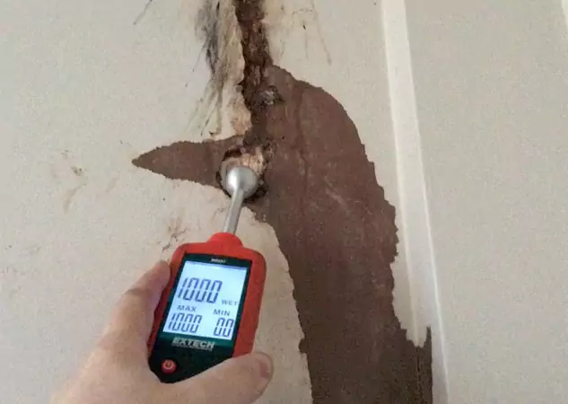 Your Water Damage Assessment Partner in Pine, CO