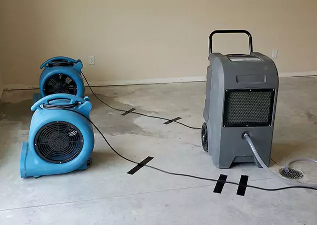 Your Water Dry Out Company in Pine, CO