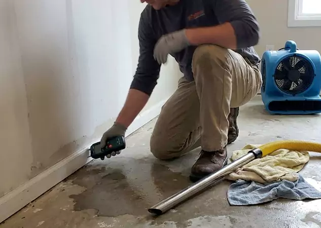 Your Proven Restoration Company in Pine, CO