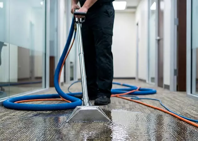Your Water Damaged Carpet Restoration Partner in Pine, CO