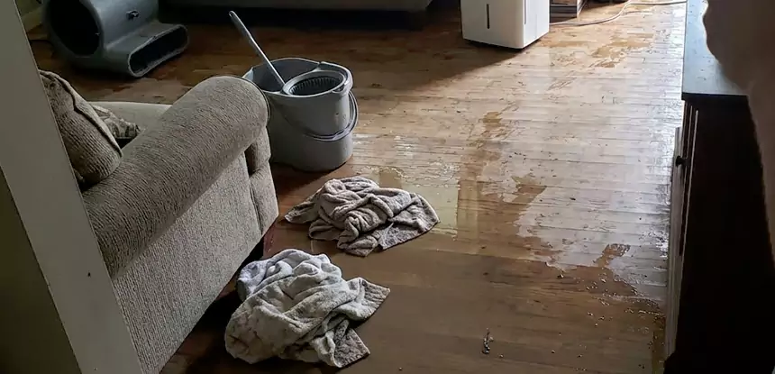 Professional Basement Water Remediation Services in Pine, CO