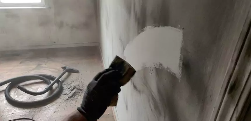 Professional Water and Fire Damage Restoration Services in Pine, CO