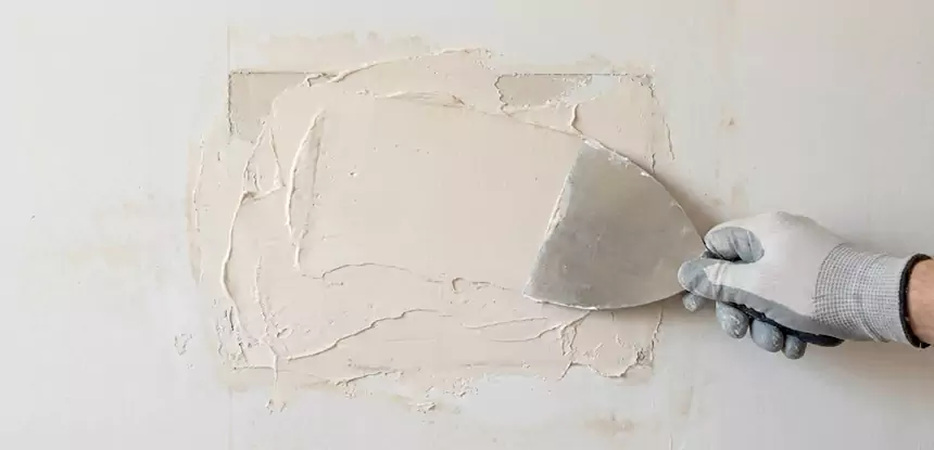 Professional Mold and Drywall Repair Services in Pine, CO