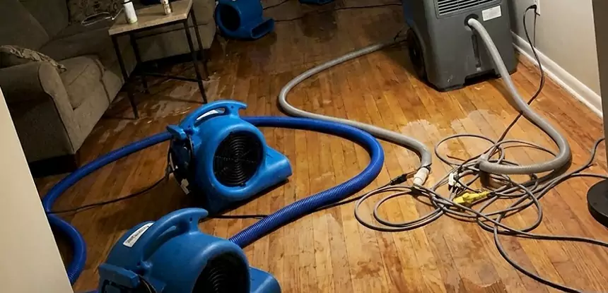 Basement Flood Restoration Services in Pine