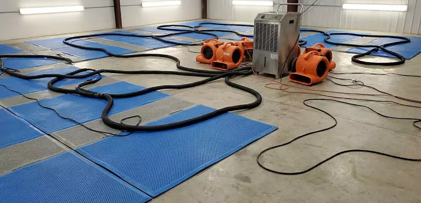 Large-Scale Water Cleanup in Pine