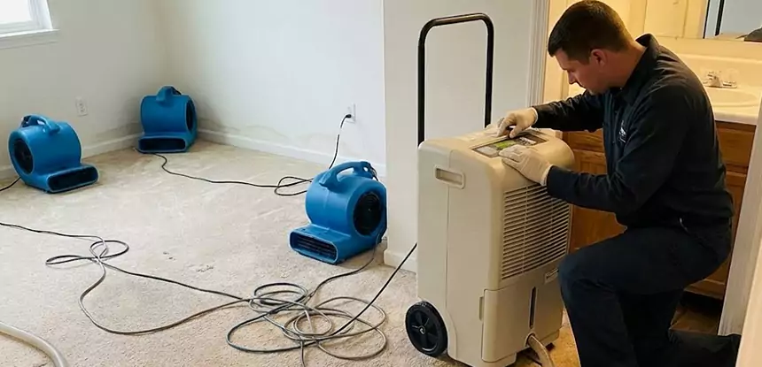 Water Damage Restoration in Pine
