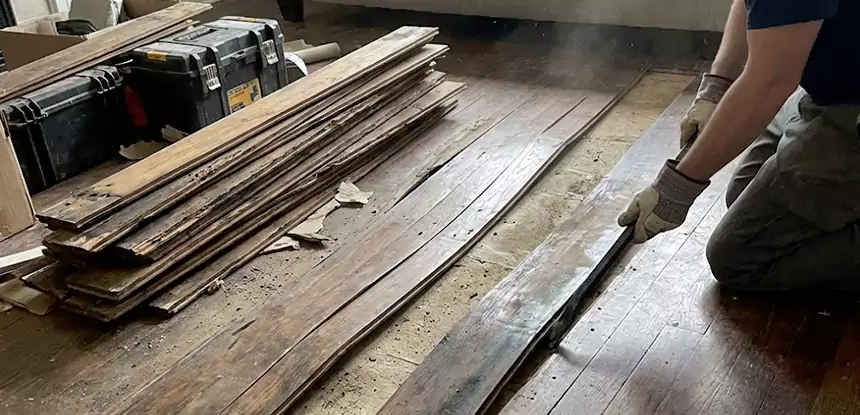 Wood Rot and Fungus Repair in Pine