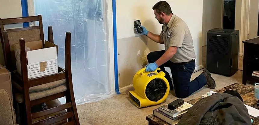 Carpet Water Damage Repair Pine