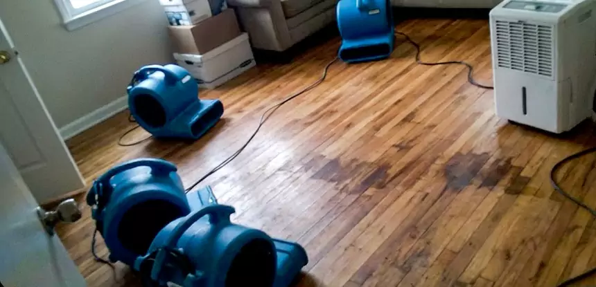 Residential Water Extraction Pine