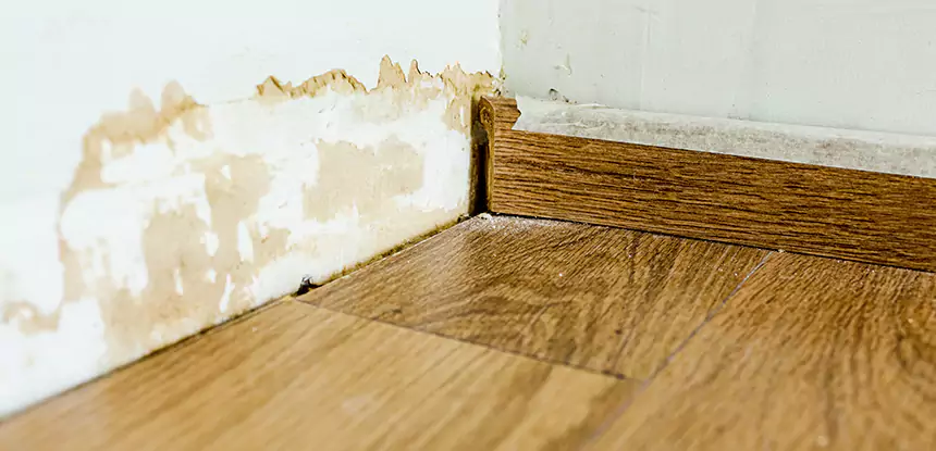 Professional Fix Water Damaged Wood Services in Pine, CO