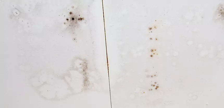 Professional Water Stain Repair Services in Pine, CO