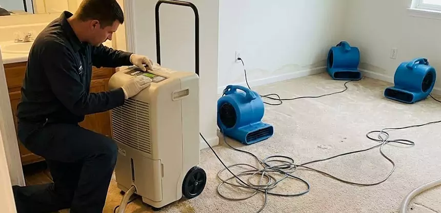 Professional Wet Carpet Removal Services in Pine, CO