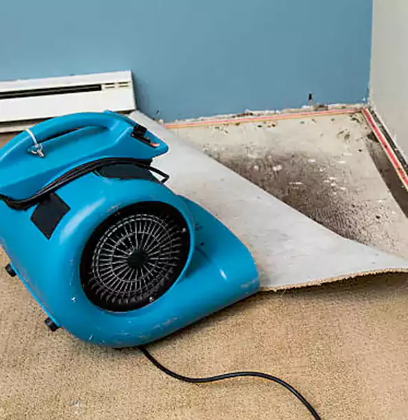 Why Pine Trusts Pine Restoration Pro for Carpet Flood Recovery?