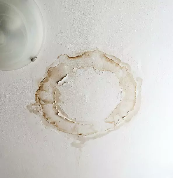 Why Pine Property Owners Choose Pine Restoration Pro for Ceiling Water Damage Restoration?
