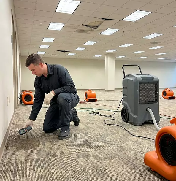 Why Pine Businesses Choose Pine Restoration Pro for Water Cleanup?