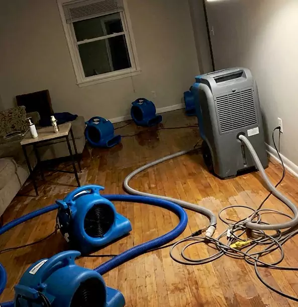 Why Pine Calls Pine Restoration Pro First for Emergency Restoration?
