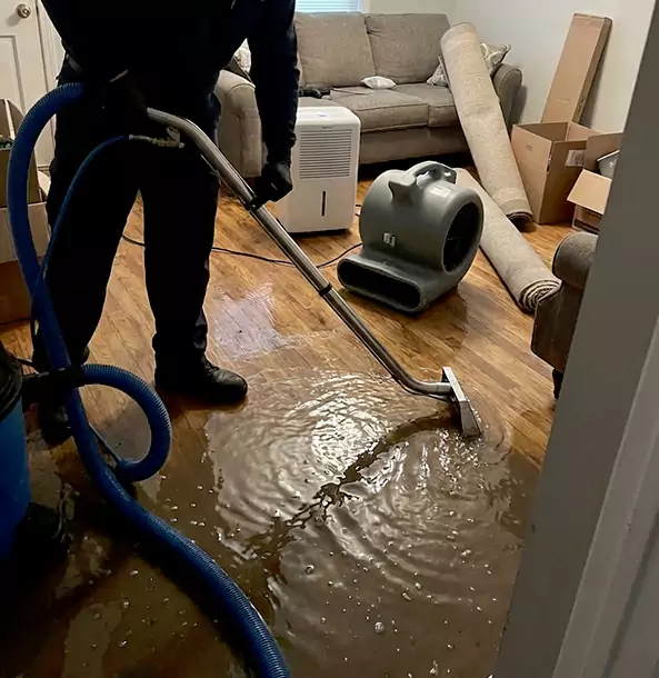 Why Pine Trusts Pine Restoration Pro for Flood Cleanup?